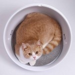 Petkit Z1S Smart Pet Cat Bed with Air Conditioning